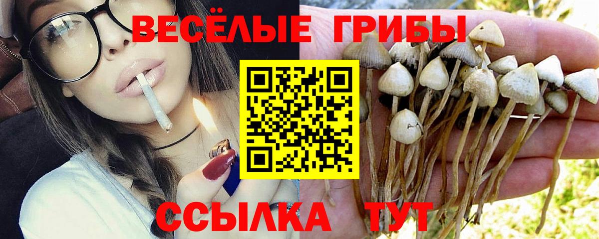 Туймазы  Галлюциногенные грибы Psilocybine cubensis  Вход с VPN 